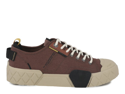 ACE CITY SHELL LO Palladium RACCOON