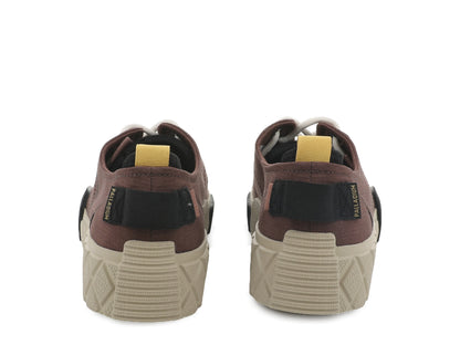ACE CITY SHELL LO Palladium RACCOON